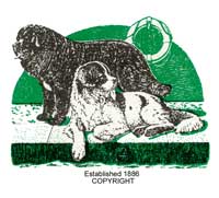 The Newfoundland Club